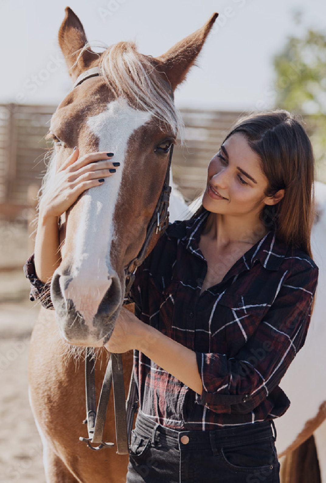 futur-centre-equestre-pour-tous Futur centre équestre pour tous