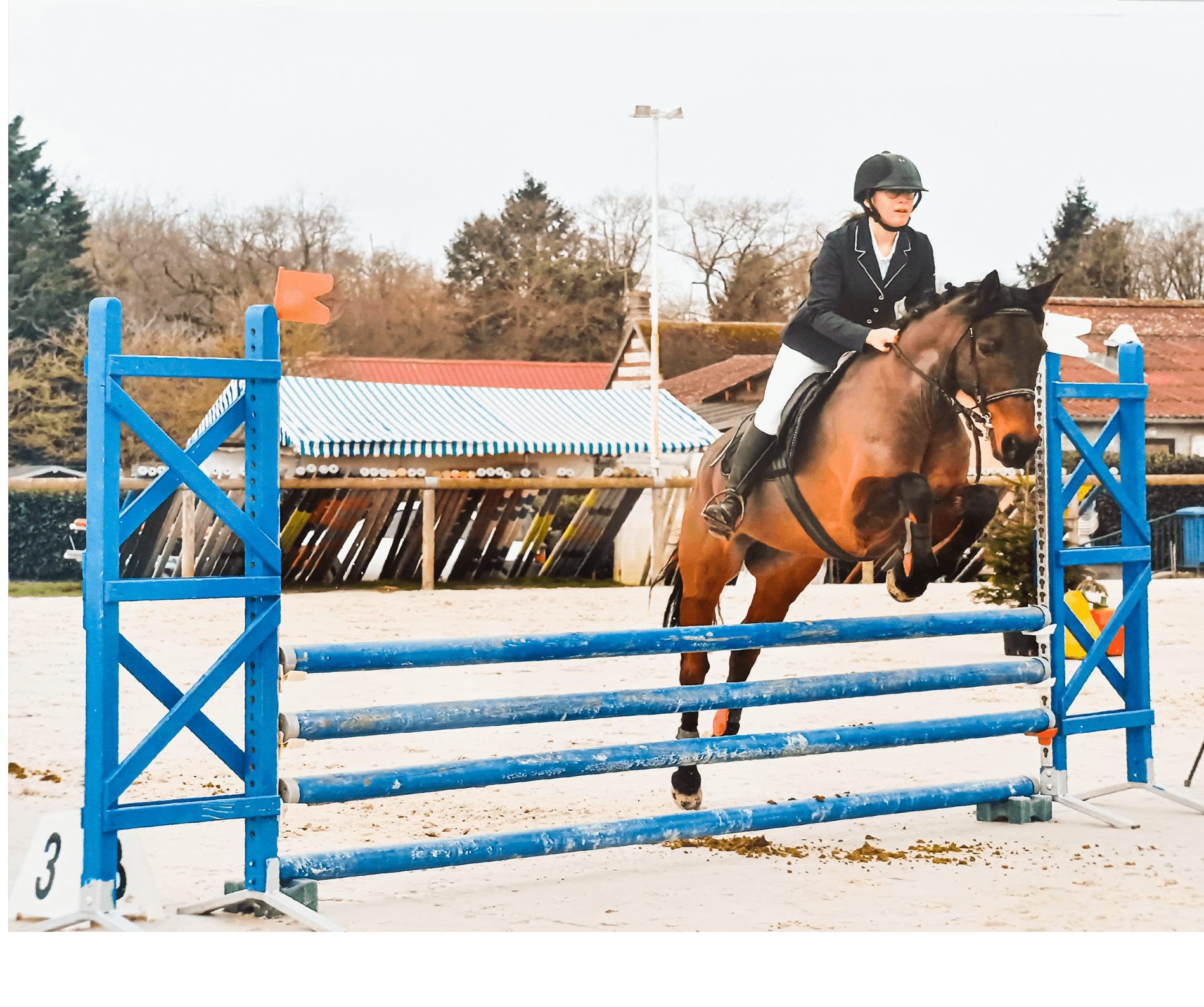 la-decouverte-du-cheval La découverte du cheval