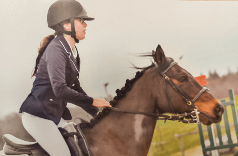 univers-equin-professionnel