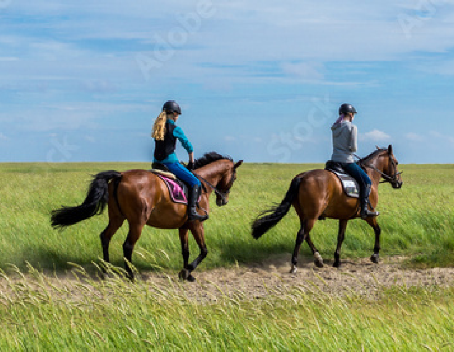 recolte-des-dons La récolte des dons